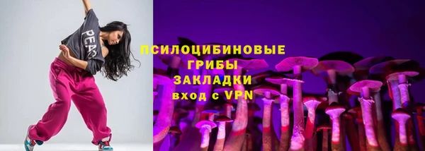 ГАЛЛЮЦИНОГЕННЫЕ ГРИБЫ Зерноград